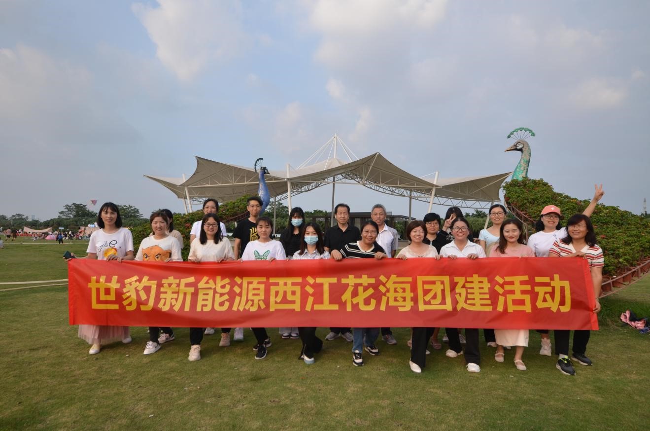 香蕉视频黄版本新能源锂香蕉视频一区在线观看团队精英团建